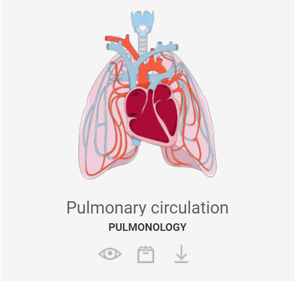 isaacguerrerop's tweet image. 🎒 BANCO DE IMAGENES SOBRE EL CUERPO HUMANO
➡ Os dejo por aquí Smart Servier Medical Art, un repositorio con +300 imágenes para trabajar el cuerpo humano
¡Geniales!