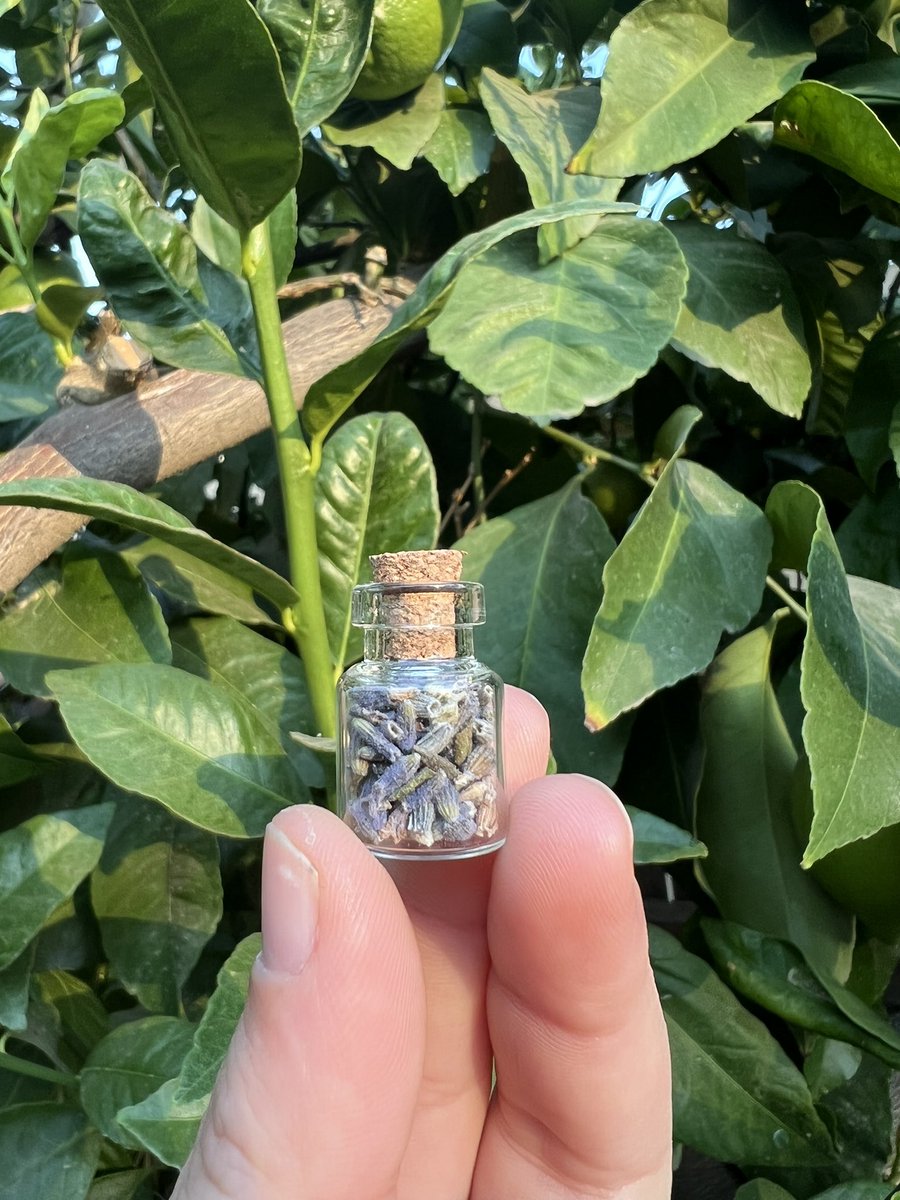 Colour Cano Artist on Twitter "RT casswraps herb x crystal powder jars are available for 2