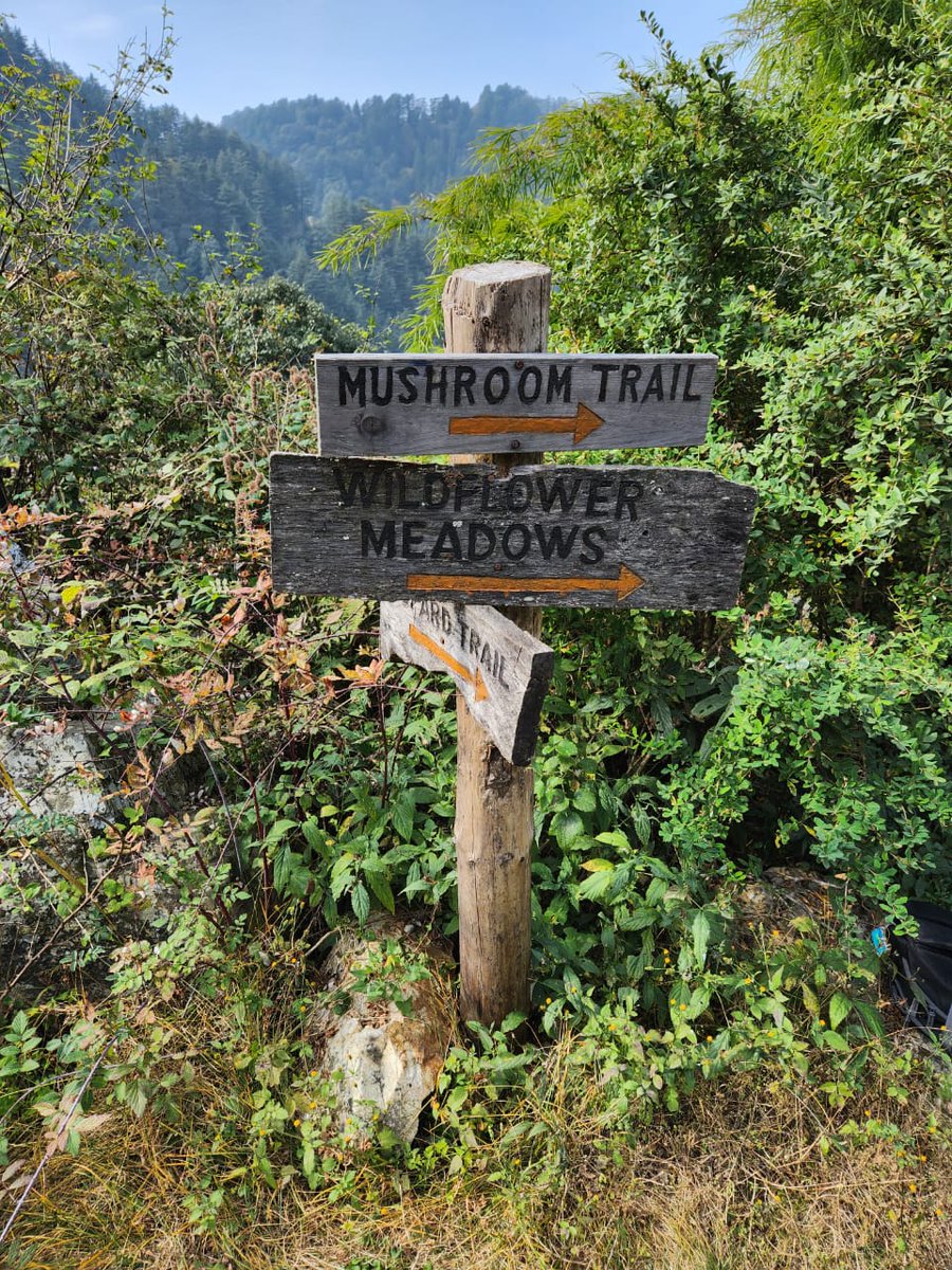 DikshaIFS's tweet photo. Jabarkhet Nature Reserve, a privately owned forest turned nature reserve, self sustaining venture in Mussorie hills. An ecotourism model in real sense...
#ecotourism #naturereserve #walkingtrails #conservationbycommunity https://t.co/tfZJdG4kCZ