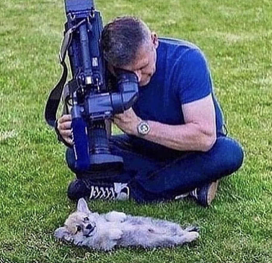 my dog: *does anything*

me: