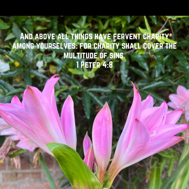 bible.com/bible/1/1pe.4.…