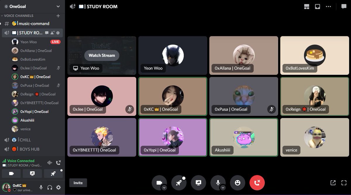 0xKC👑 tweet media