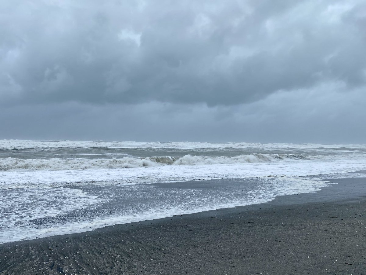 Kevin Kelly tweet media