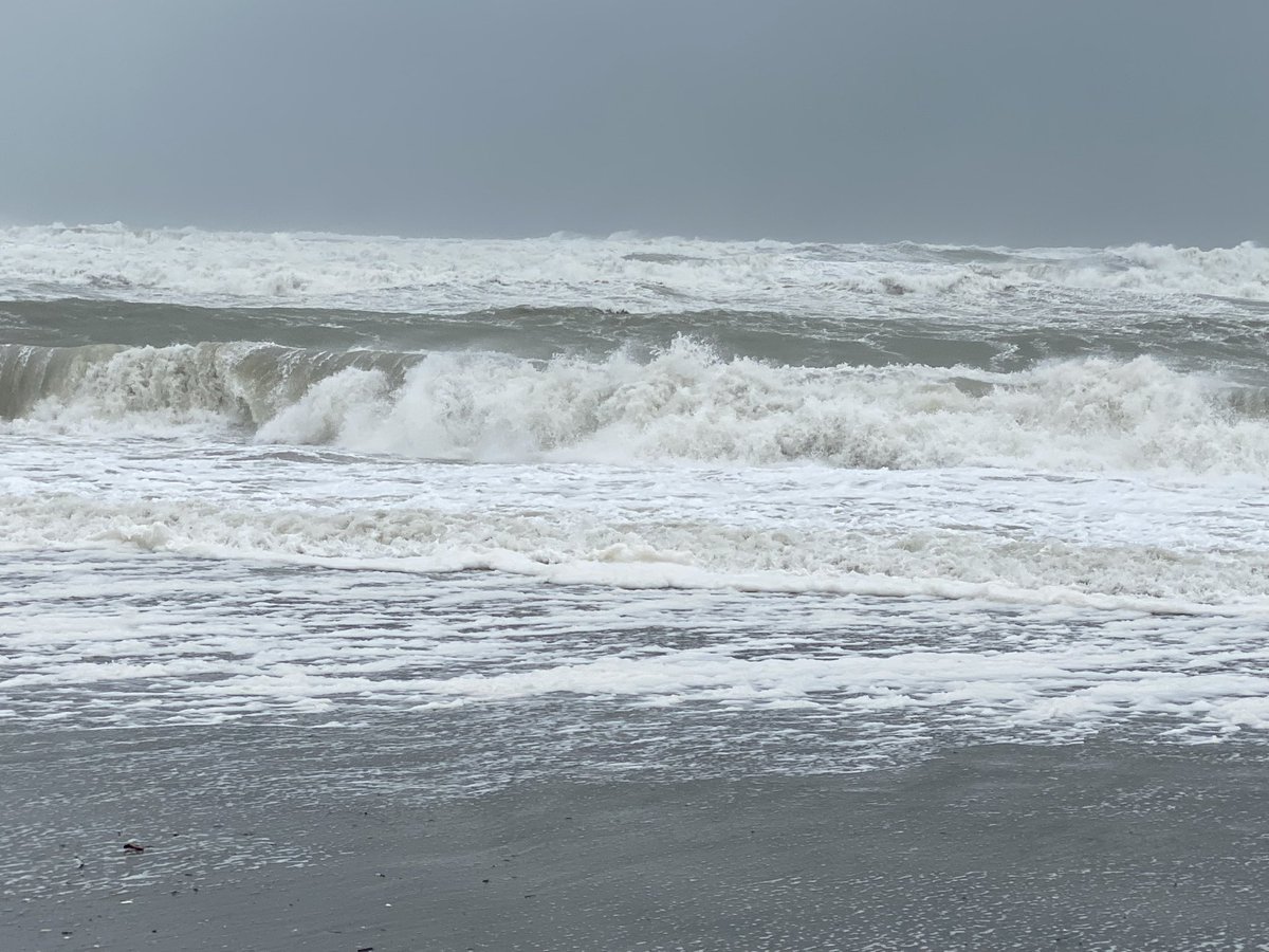 Kevin Kelly tweet media