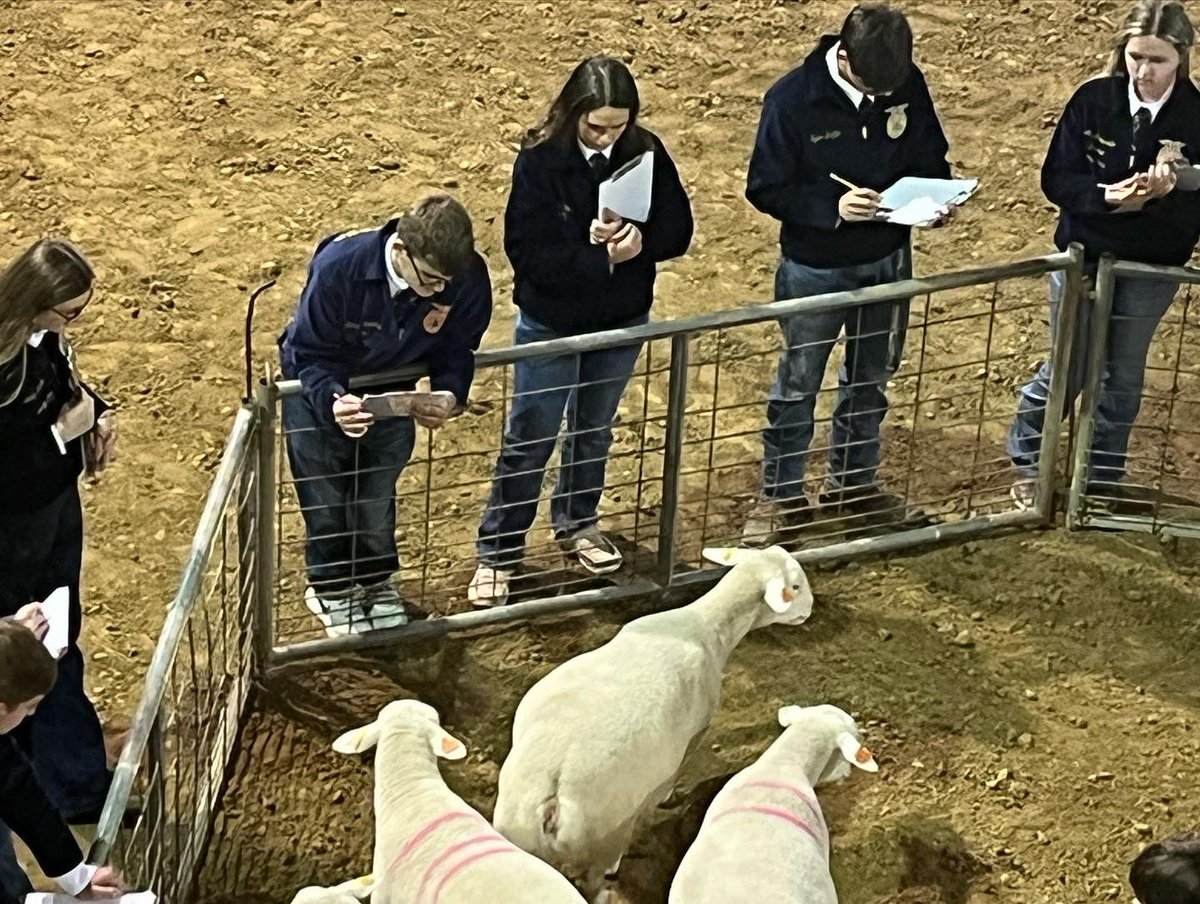 Collierville FFA tweet media