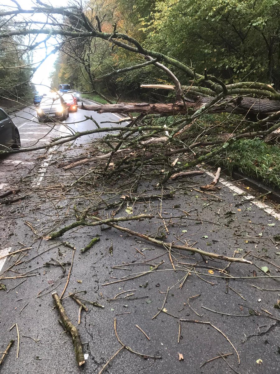 EAFormby's tweet photo. On the way to site this morning our team came across a fallen oak blocking a main road.
They took it upon themselves to clear the obstruction and made the road safe again.
A big well done to them for going above and beyond. https://t.co/wYDdMDqtoH