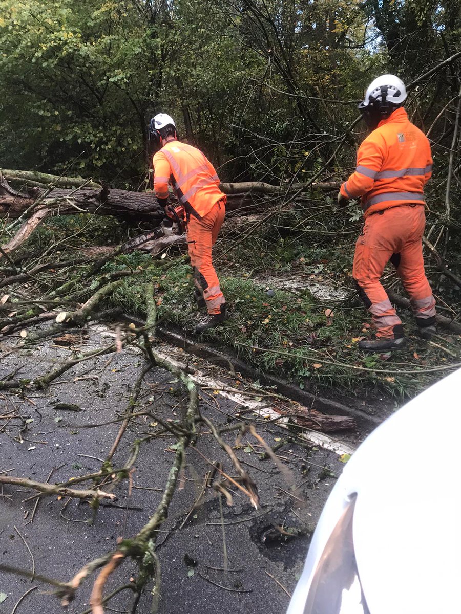 EAFormby's tweet photo. On the way to site this morning our team came across a fallen oak blocking a main road.
They took it upon themselves to clear the obstruction and made the road safe again.
A big well done to them for going above and beyond. https://t.co/wYDdMDqtoH