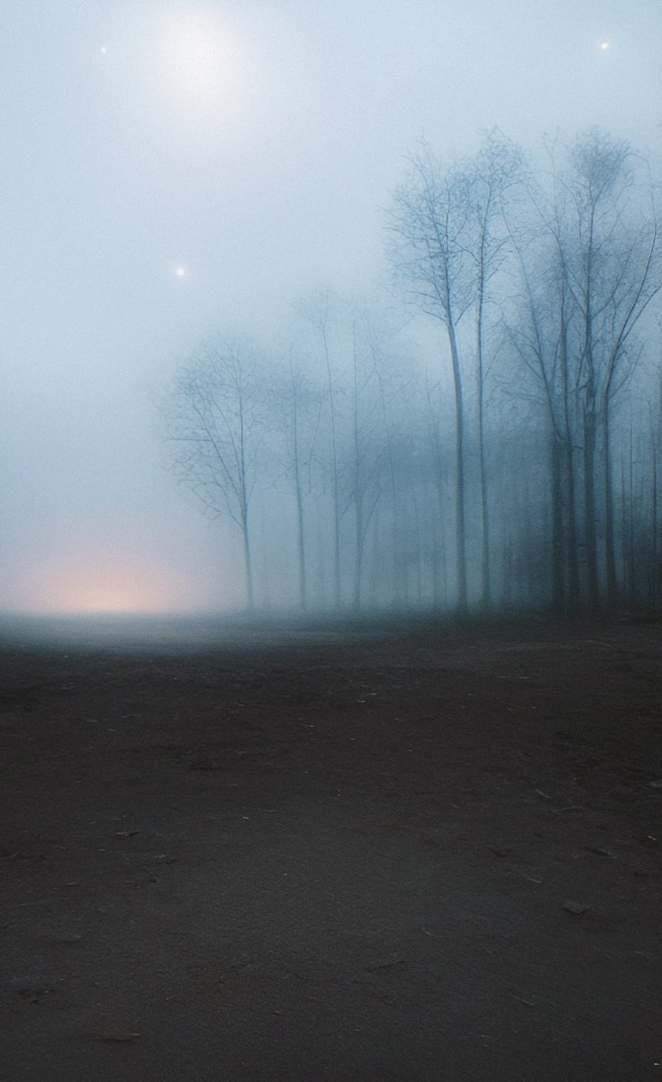 That place that only we know…

in between reality and whatever it is you believe. 

#liminal #nomansland #liminalarea #secretplace #behindthepines #wierdart #blues #nature #beautiful #dark #dreamcore #onlyweknow