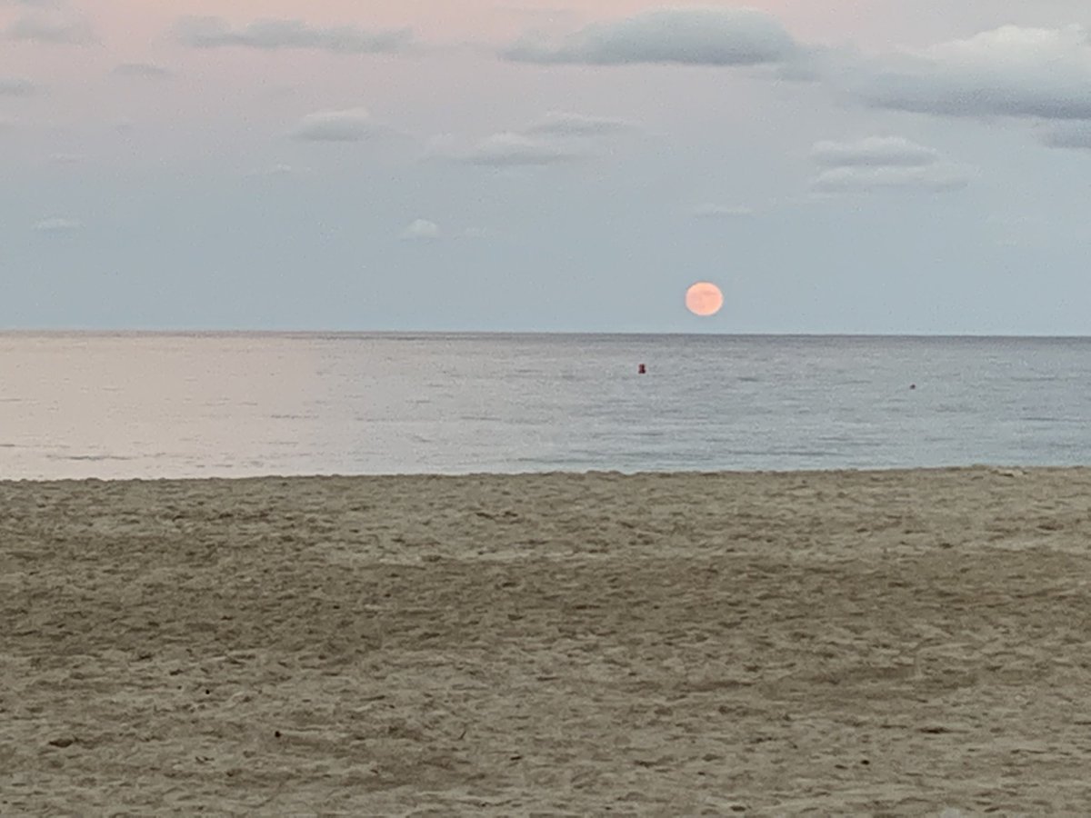lisa_stephenso's tweet photo. This week we’re in Palermo @cesieong @EUErasmus_plus @ArtedEu project. Together, across 5 countries, we’re cocreating expressive arts workshops for primary, secondary school teachers, parents, carers,  pre service teachers with a focus on creativity, wellbeing, change making. https://t.co/fsp77ZhSH7