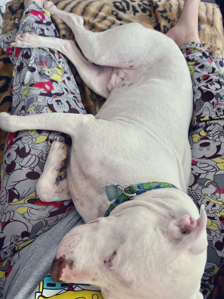 MarcyReads's tweet image. Apparently I’m comfy AF! 🥰 Wednesday attire: Mickey Pj pants and SpongeBob PJ top. It’s where I’m at mentally 🤣