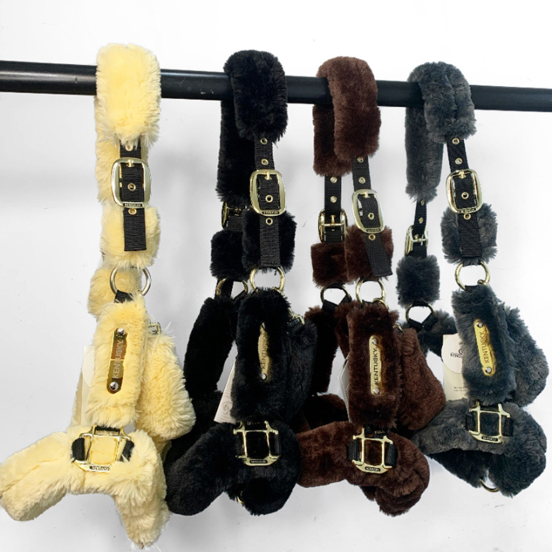 The fluffiest halters from @kentucky_horsewear ☁️✨ Would you pick Natural, Black, Brown or Grey?
Shop the Kentucky Sheepskin Shipping Halter on our website now [link in bio!] for £82.99 or shop the Nylon sheepskin version for £38.99💗