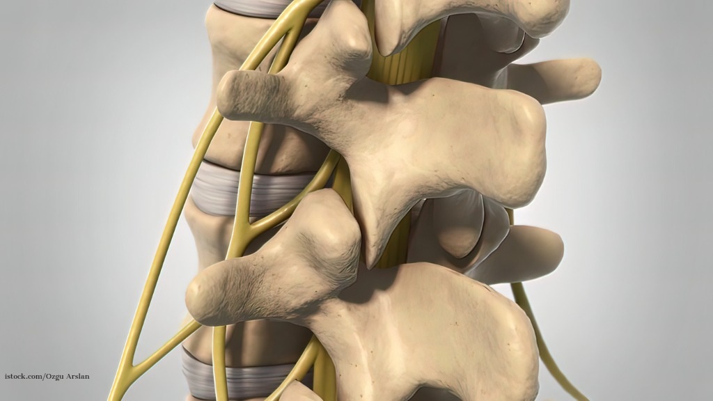 PainMedJournal's tweet photo. This osteological study quantified needle angles for traditional radiofrequency ablation. Variability of needle angles suggest one standard approach may not be the optimal technique. https://t.co/7uBFzdTLVC https://t.co/eywPB3250D