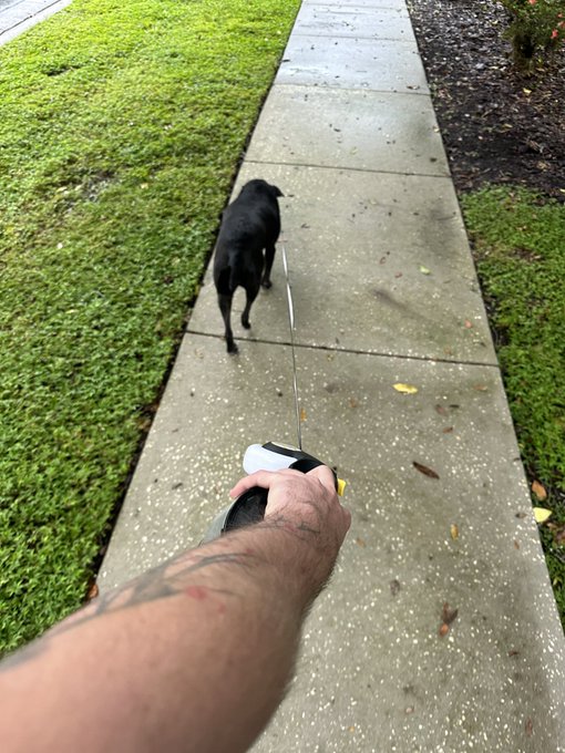 Walking my dog in the rain&hellip; who&rsquo;s next? https://t.co/gKqUwitdIs