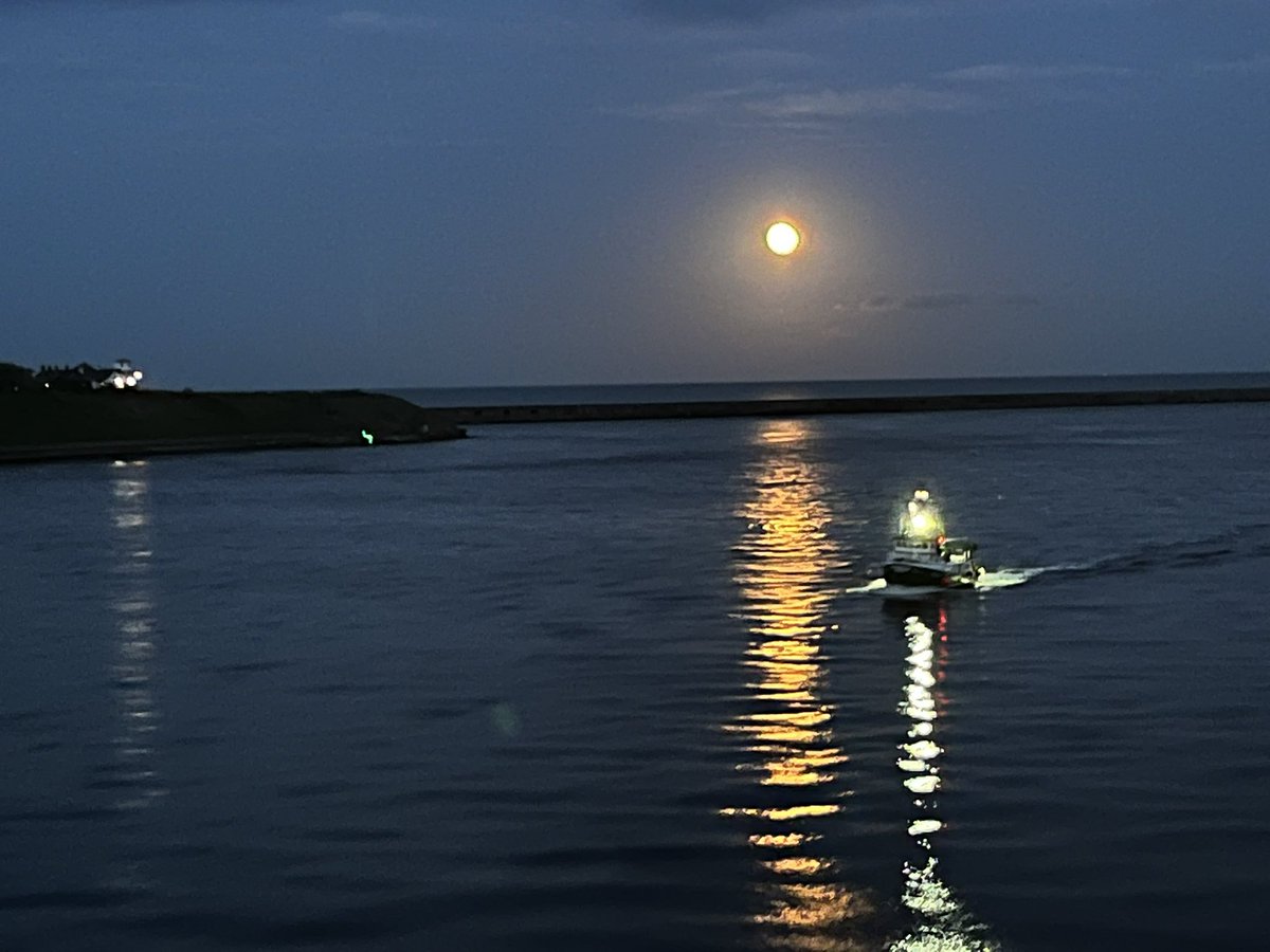 Ivimartha's tweet image. Just leaving Shields on the princess