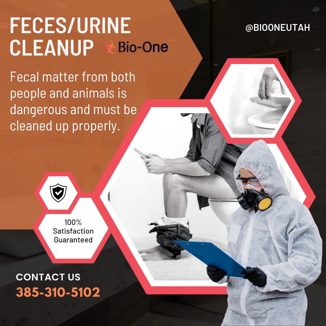 BioOneUtah's tweet image. Human and animal feces/urine are bio-hazardous waste and sanitizing a home or business that has been exposed to these materials requires expert help. Bio-One technicians follow professional safety requirements while utilizing specialized equipment and training protocols