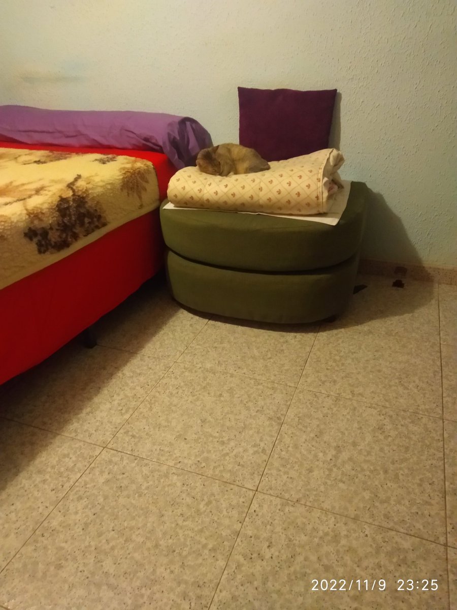 Sg73Danny's tweet image. 