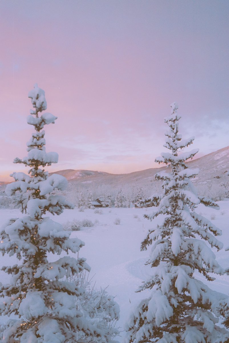 AlexKittoe's tweet photo. Winter pastels on 35mm https://t.co/YARsJQYSOT
