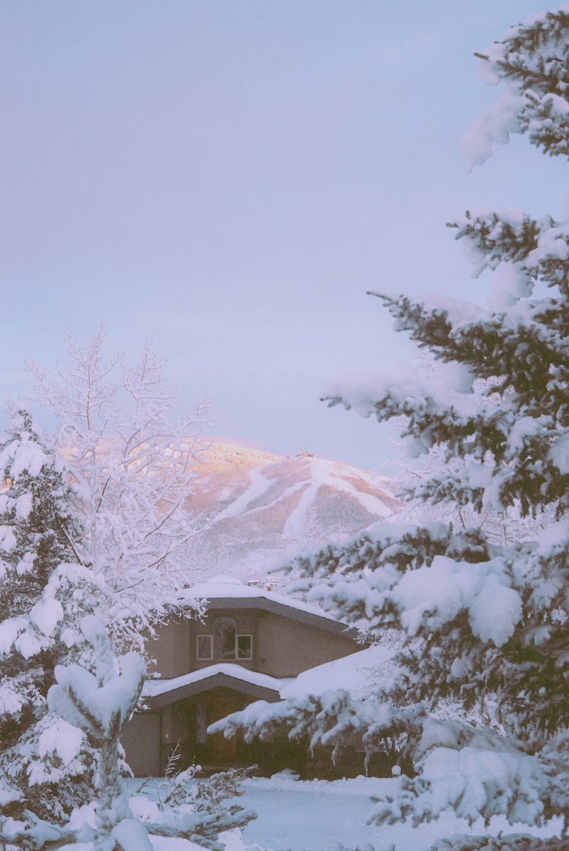 AlexKittoe's tweet photo. Winter pastels on 35mm https://t.co/YARsJQYSOT