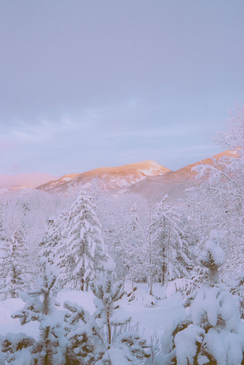 AlexKittoe's tweet photo. Winter pastels on 35mm https://t.co/YARsJQYSOT