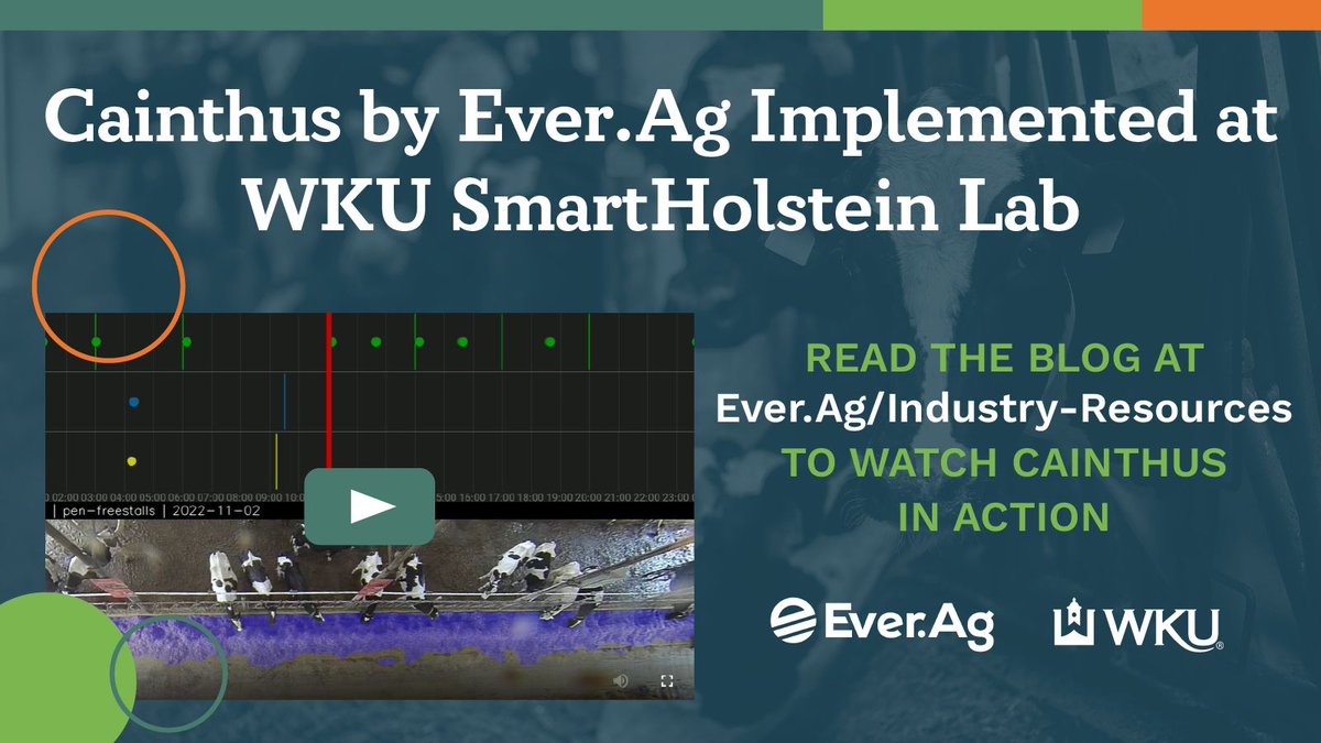 Cainthus by Ever.Ag is now providing actionable animal insights at Western Kentucky University’s new research dairy facility! Launching next week! Read about this key partnership for dairy technology research on our website! lnkd.in/gDHaQG5V
