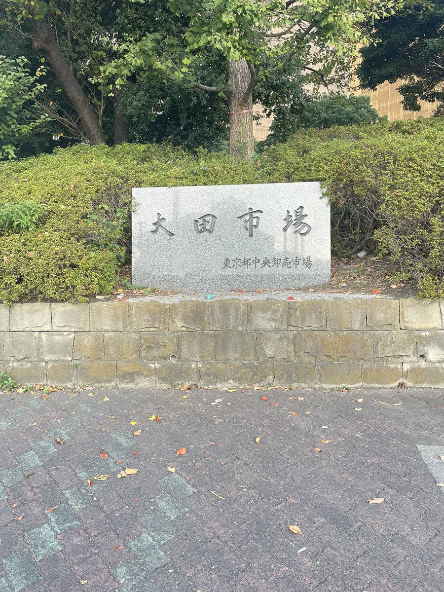 MATSU_RYO's tweet photo. おはようございます。
眠いです。。。 https://t.co/Q8S6btqFEi