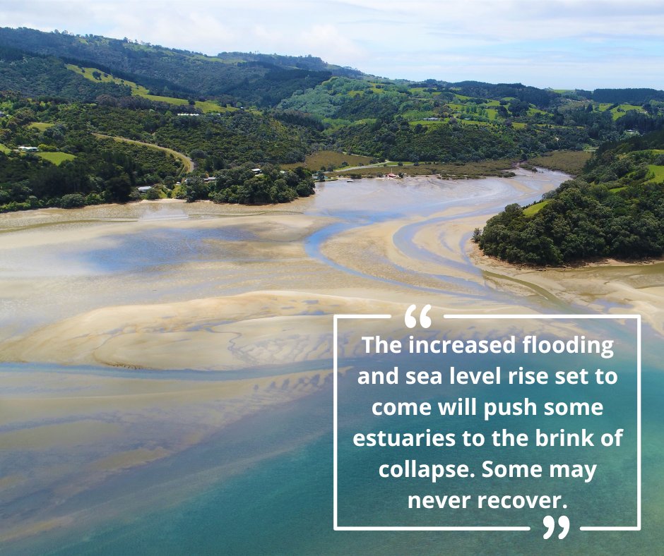 Sustainable Seas tweet media