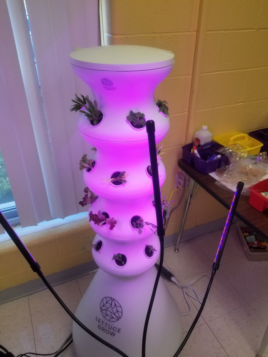 She's all set up and ready to go!  <a href="/LettuceGrowtfp/">LettuceGrow</a> <a href="/LettuceGrowXTFP/">Lettuce Grow by The Farm Project</a>