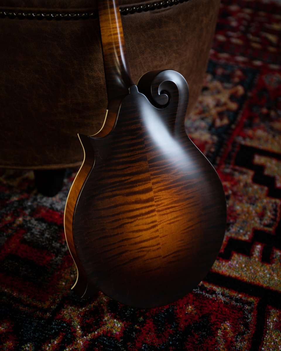 Our MF O produces a rich, woody tone with a strong bass and low-midrange response, seen here in our sunburst satin nitro lacquer finish with ivoroid binding. On its way to Willie's American Guitars. #ovalhole #mandolin #fstyle #handmade #atx #collingsguitars