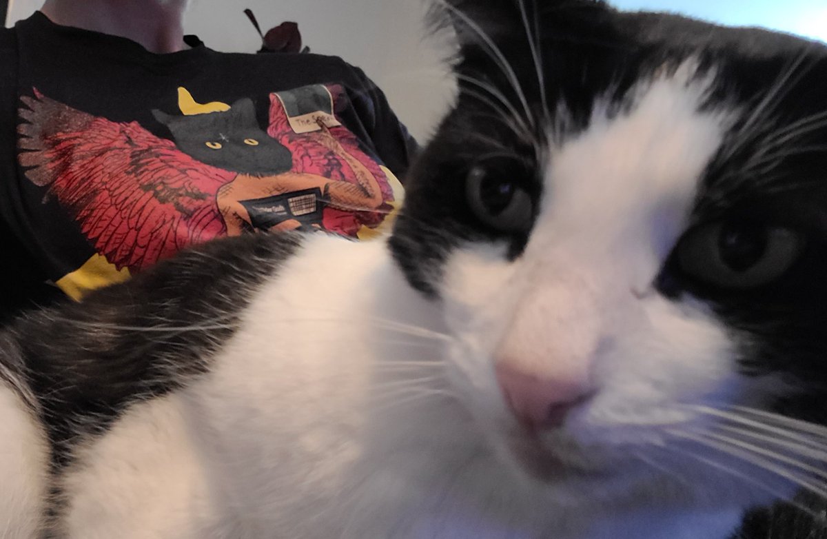 moerkrum's tweet photo. She HATES selfies but loves the shirt 🤭 @ShittyChallenge https://t.co/UFffqFMtNt