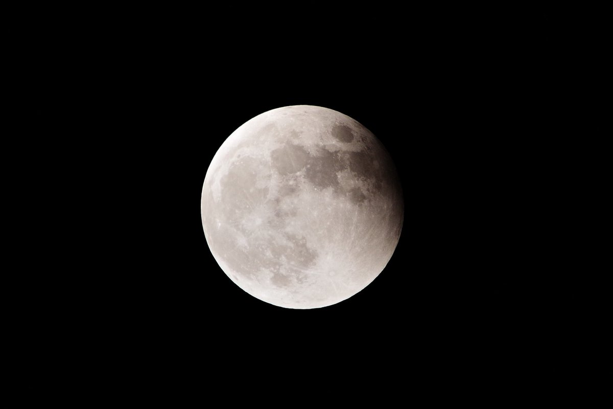 rainbowsqur's tweet photo. だいぶ遅刻したけど皆既月食🌕 https://t.co/JveiPEH1Ed