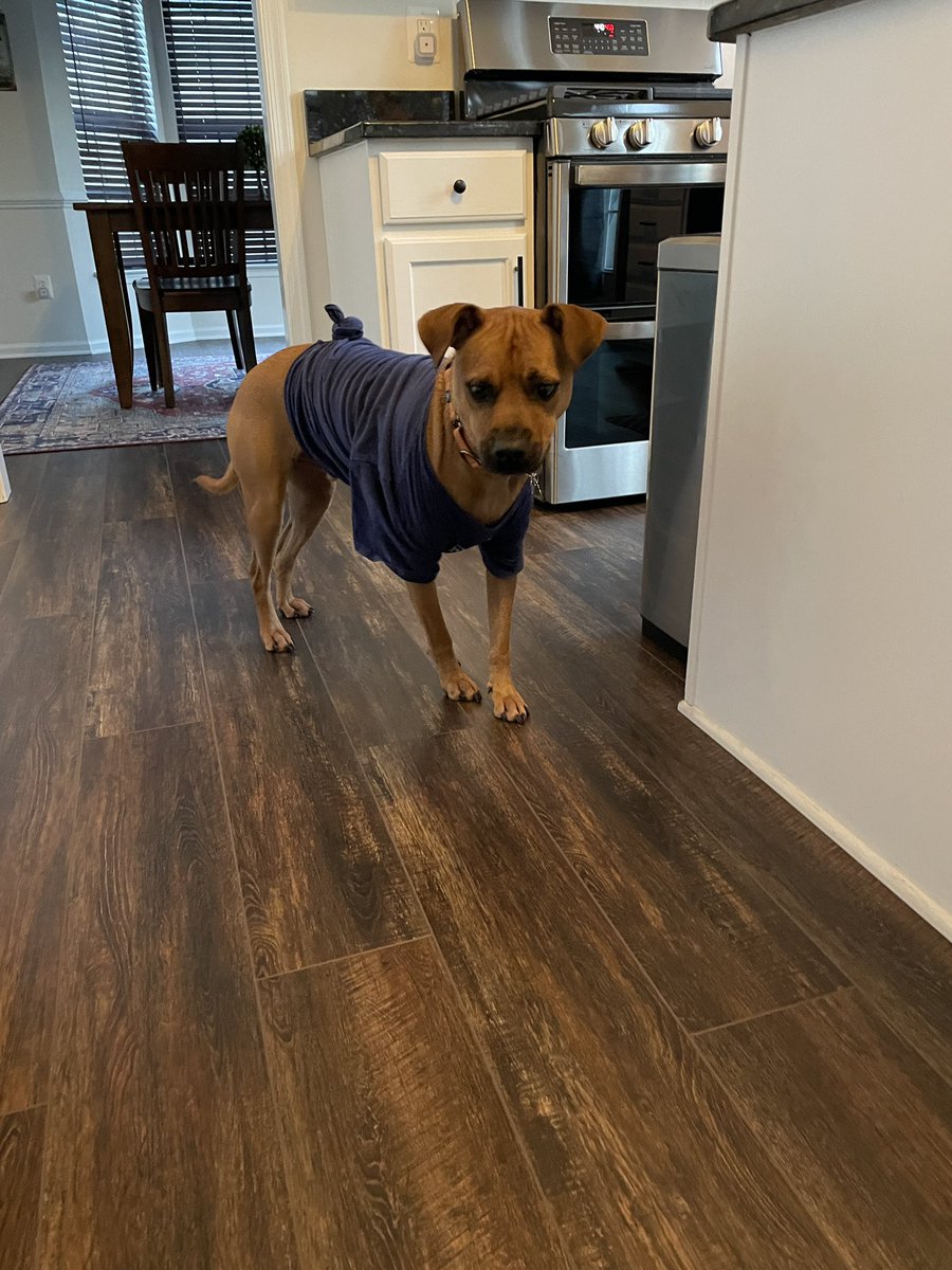 Hamilton tweet media