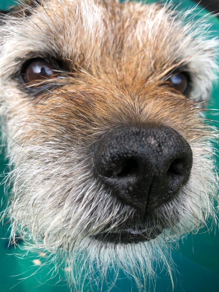 Baxter tweet media