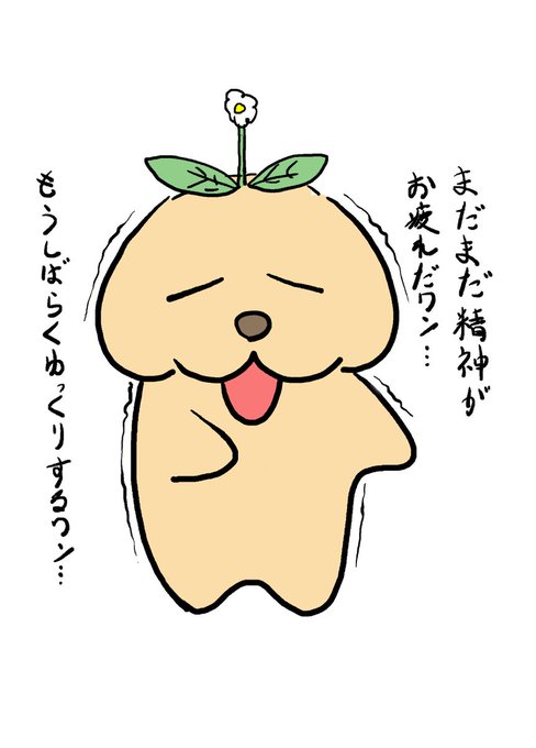 日曜から数えて5日目精神が少し回復してくる。
換気扇や冷蔵庫の音が怖くなったのは久し振りだった…
鬱までは行かずにノイローゼ状態で耐えた所。
とは言えまだ原因がそのままなのでまだ毎日が不安定。
前々からコメントを頂いてますが返事出来ないのが申し訳ないです…😣
4日で4キロも痩せてる…😨 