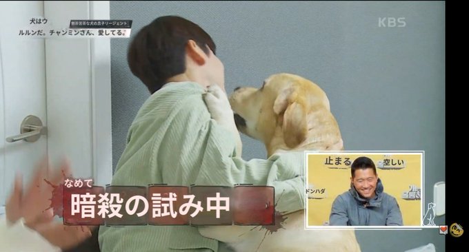 チャンミン の人気がまとめてわかる 評価や評判 感想などを1日ごとに紹介 ついラン