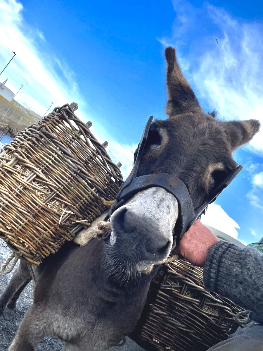 Barry Keoghan tweet media