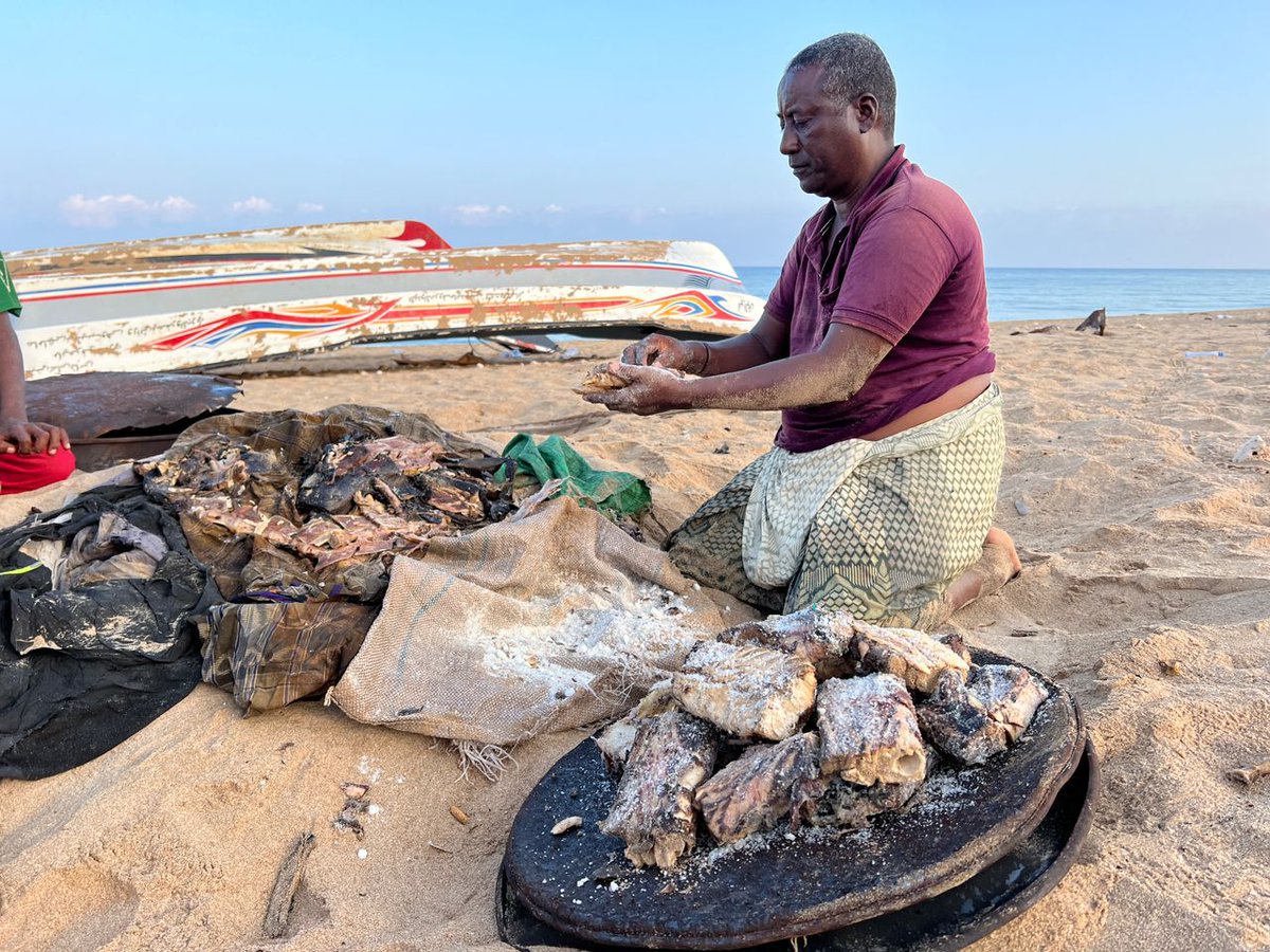 SecureFisheries's tweet photo. Fuel in Lasqoray is too expensive to run the local ice maker. This fisher dries his catch (tuna and rays) to sell to other communities. What would you call “tuna jerky”? “Terky”? “Turky”? 🐟🦃 https://t.co/sxv5CG4yUk