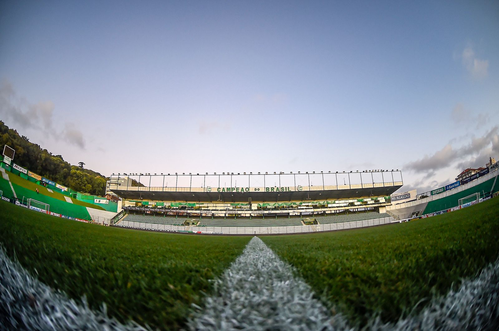 Não assistiu ao jogo? Leia aqui o resumo e ficha técnica da partida entre Palmeiras e América-MG pelo Campeonato Brasileiro