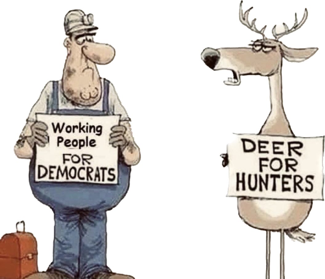 conniehoefener's tweet image. 