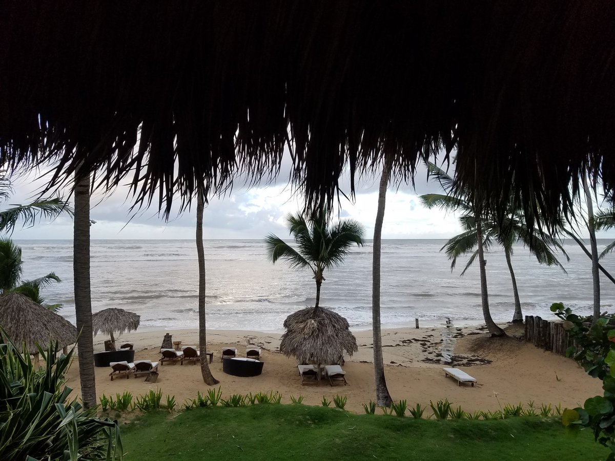 ScorpioBert's tweet photo. Nov 9th, 2016 Celebrating being alive #roughyear in Punta Cana 💐 https://t.co/20hj6Gf2kL