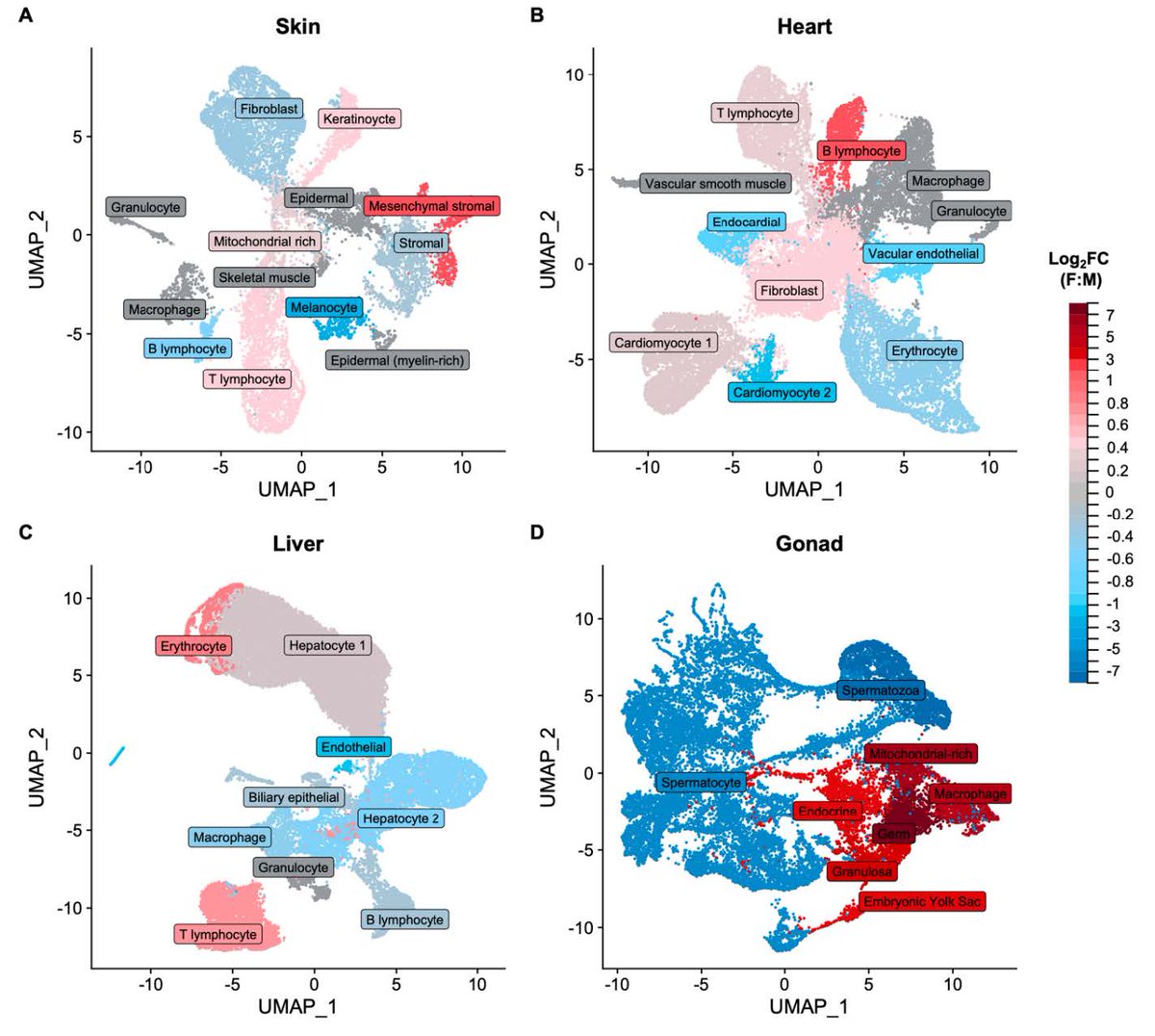 Judith Mank (@judithmank) on Twitter photo Sex-biased genes are often assumed to be the cause of sexual dimorphism, but what if they are just a result of it? The latest by <a href="/IDarolti/">Iulia Darolti</a> - Sex-biased gene expression at single cell resolution: Causes and consequences of sexual dimorphism biorxiv.org/content/10.110… Sex-biased genes are often assumed to be the cause of sexual dimorphism, but what if they are just a result of it? The latest by <a href="/IDarolti/">Iulia Darolti</a> - Sex-biased gene expression at single cell resolution: Causes and consequences of sexual dimorphism biorxiv.org/content/10.110…