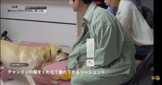 チャンミン の人気がまとめてわかる 評価や評判 感想などを1時間ごとに紹介 ついラン