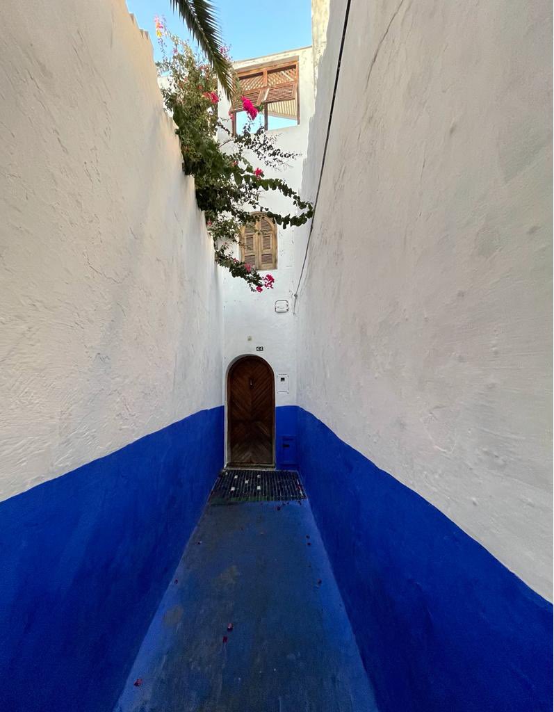 Blau&amp;weiss Berlin <a href="/LezzzetAbi/">Ugur Vardan</a>