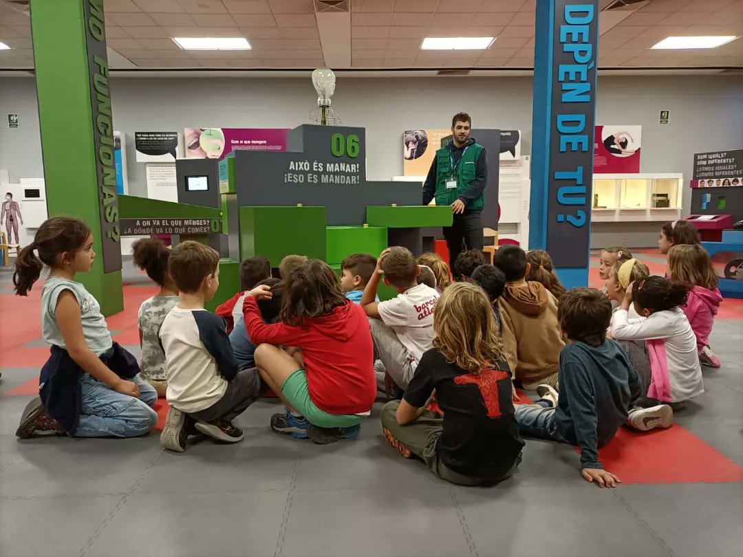 EscPublicaSAFA's tweet image. #2nB, la classe dels #esquelets, hem estat al Museu de la Ciència i la Tècnica de Terrassa aprenent més sobre el cos humà. Quin món més fascinant!
#projecte #medinatural