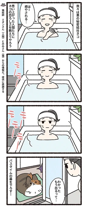 悪の秘密結社ネコ その154
#悪の秘密結社ネコ 