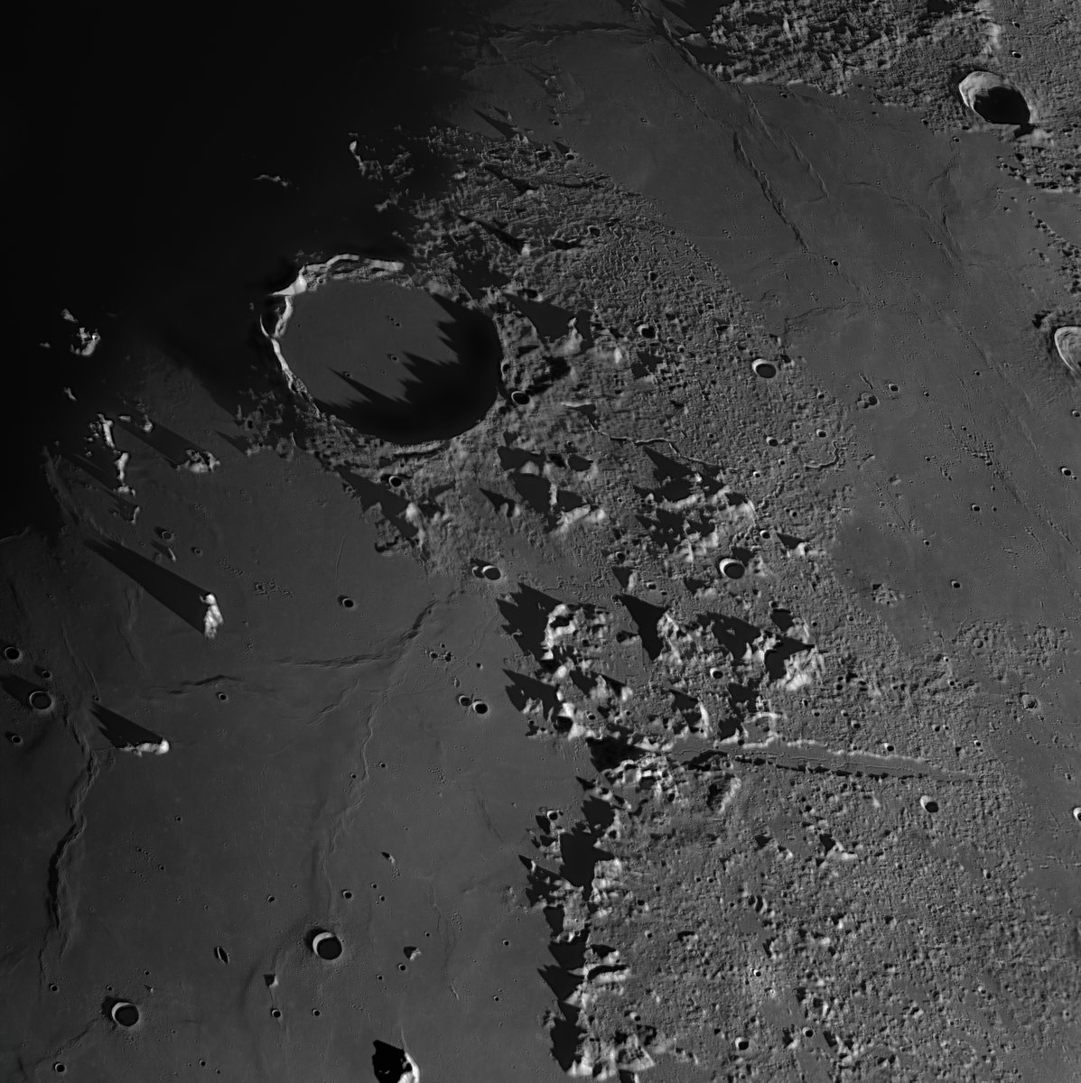 peachastro's tweet photo. Sunrise over Plato. https://t.co/wRyr6U02S2 Here is a wide high resolution view encompassing Plato and the Valles Alpes. Dramatic shadows are cast across the the floor of Plato at top left. Be sure to check the link for a full resolution version! C14HD with Saturn M-SQR camera. https://t.co/FWyjvQXmw7
