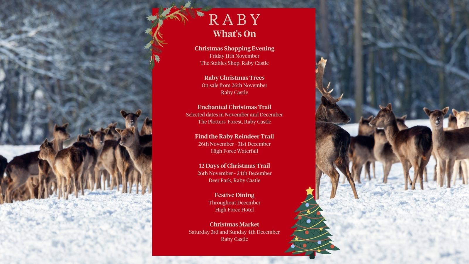 Raby Castle on Twitter "Christmas is coming!🎄 We've got a fantastic