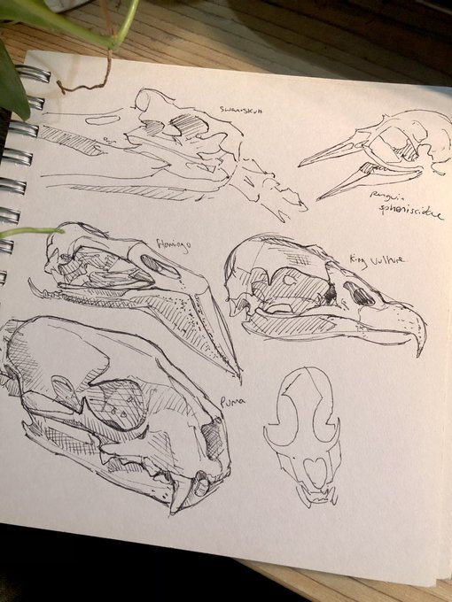 went to one of my fav museums to do some drawings today 
