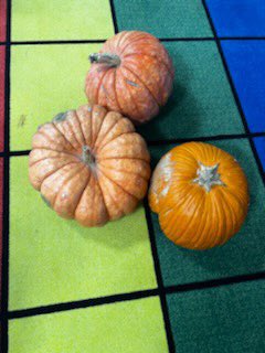Today we made predictions, using pantomime, to think of the best way to move our pumpkin with force. #STEAM #OakGroveSTEAM #CCSD #pumpkins #forceandmotion #pantomime #artsintegration <a href="/OGESeagles/">Oak Grove Elementary School</a> <a href="/alliancetheatre/">Alliance Theatre</a>