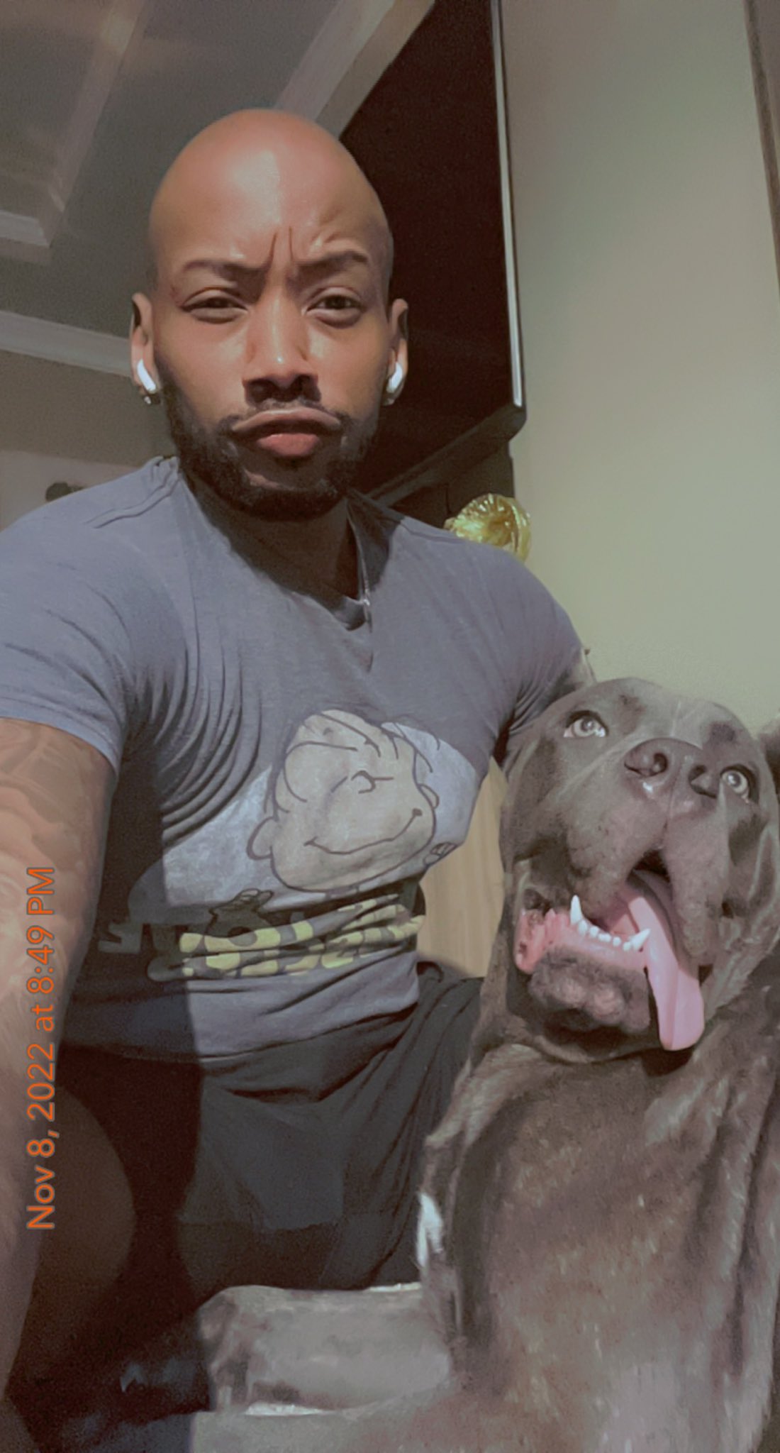Seven On Twitter When Dating Me If My Dog Doesn t Like You Then seven-on-twitter-when-dating-me-if-my-dog-doesn-t-like-you-then