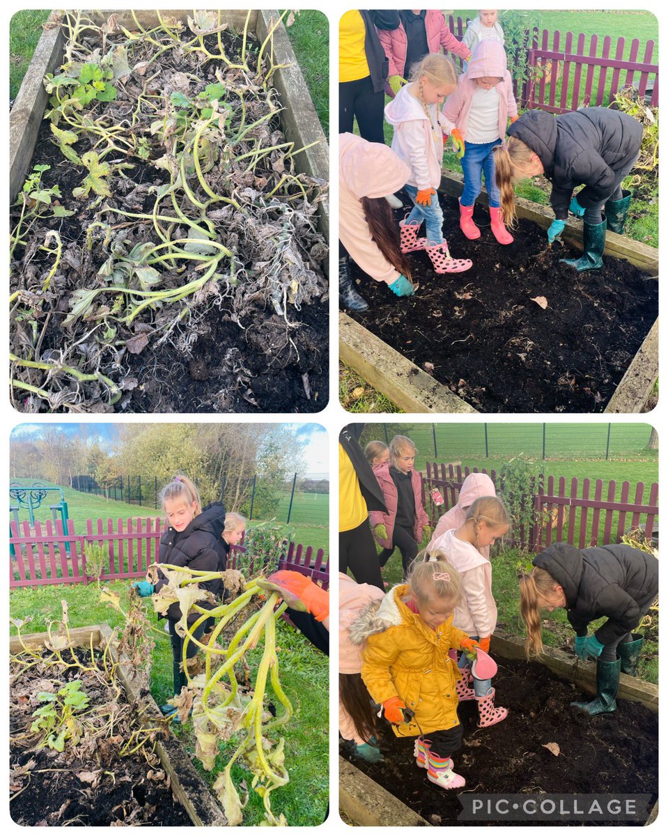 Abbie Underwood tweet media